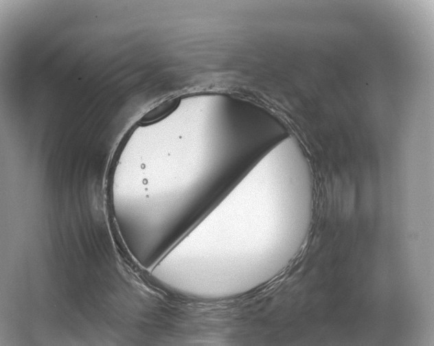 X0000066940100200603240945