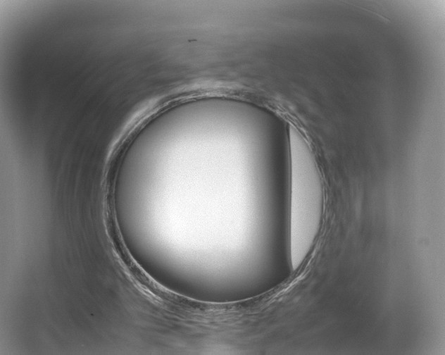 X0000066940101200603240945