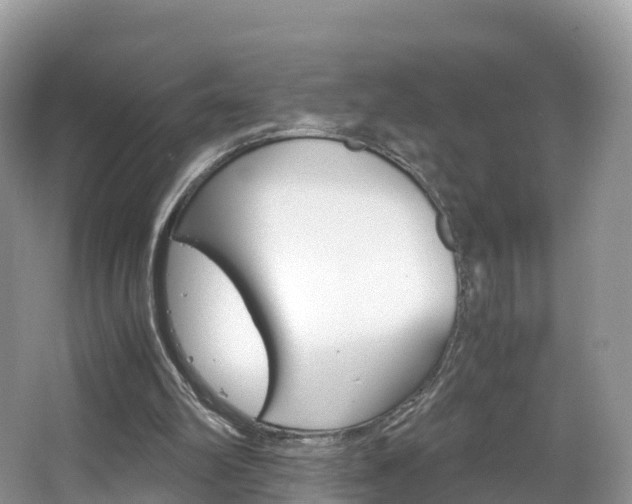 X0000066940102200603240945