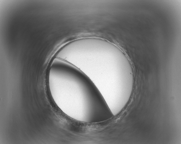 X0000066940103200603240945