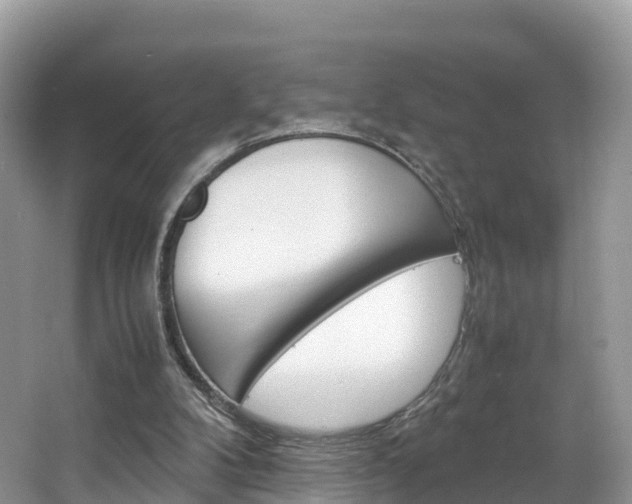 X0000066940104200603240945