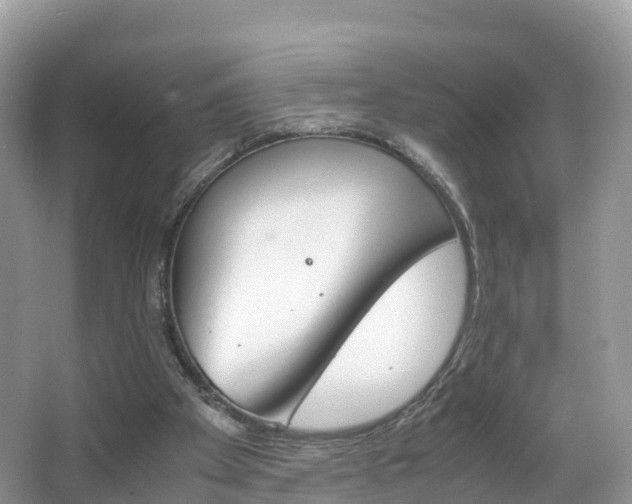 X0000066940105200603240945