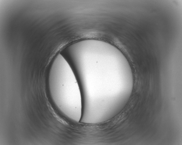 X0000066940106200603240945