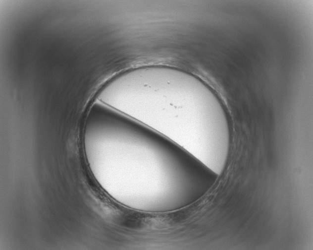 X0000066940107200603240945