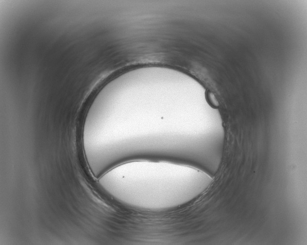 X0000066940108200603240945