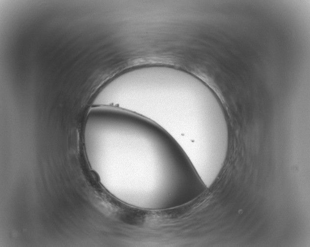 X0000066940109200603240945