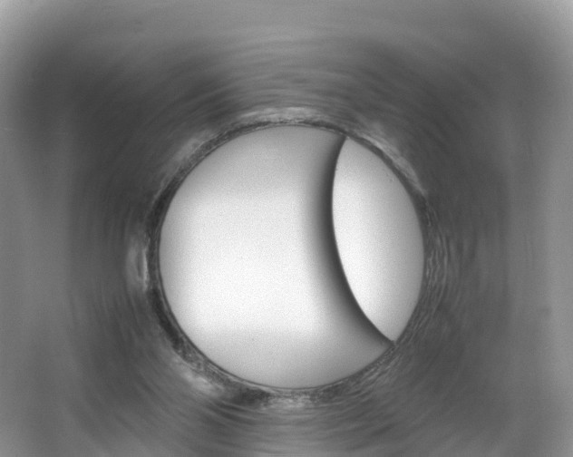 X0000066940110200603240945