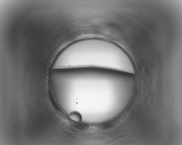 X0000066940111200603240945