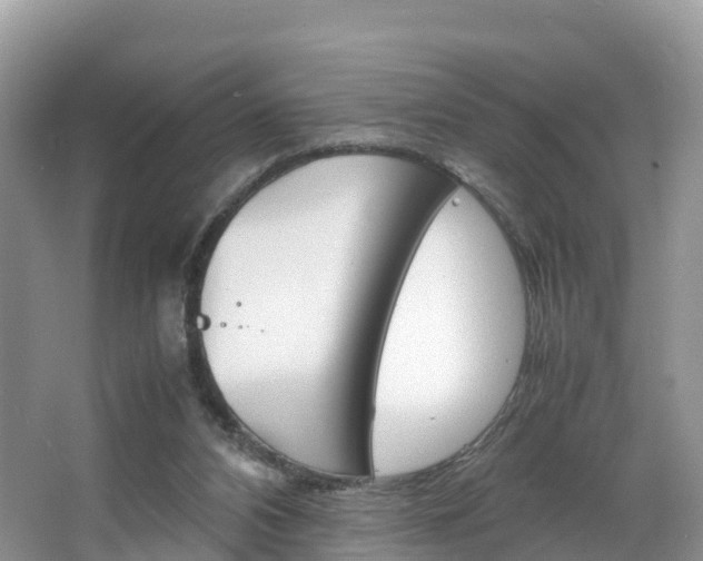 X0000066940112200603240945