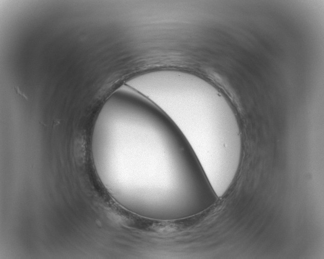 X0000066940113200603240945