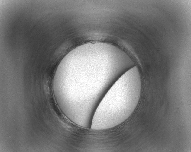 X0000066940114200603240945