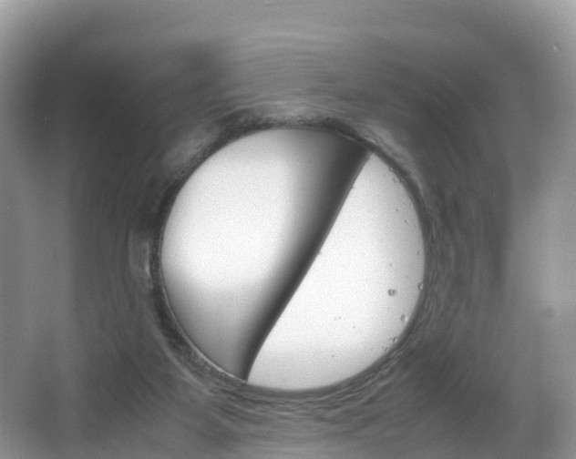 X0000066940115200603240945