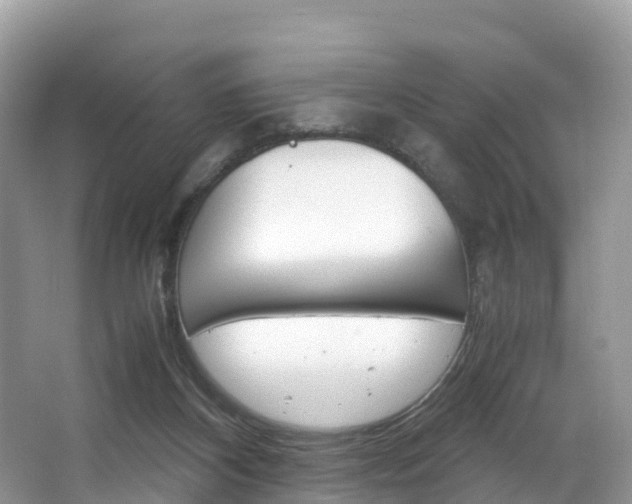 X0000066940116200603240945