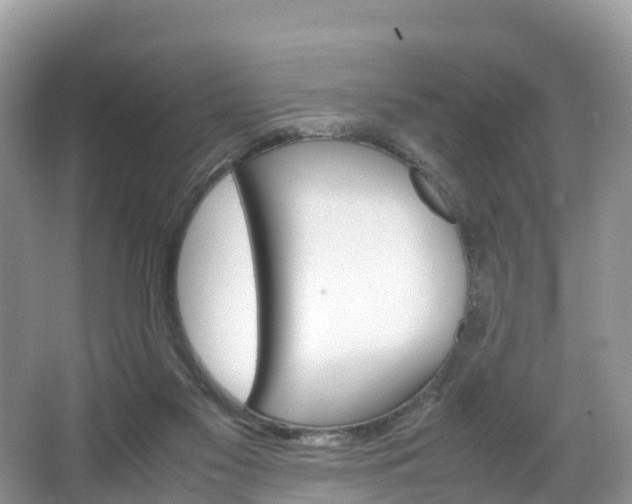 X0000066940117200603240945