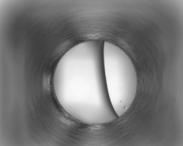 X0000066940118200603240944