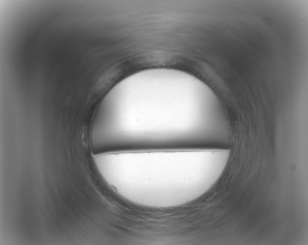 X0000066940119200603240944