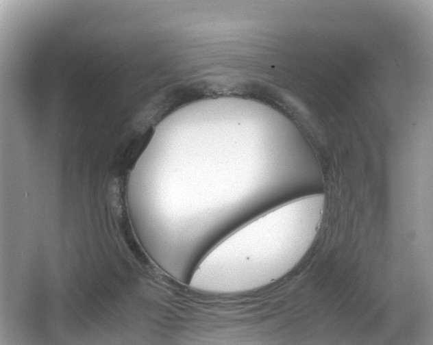 X0000066940121200603240944