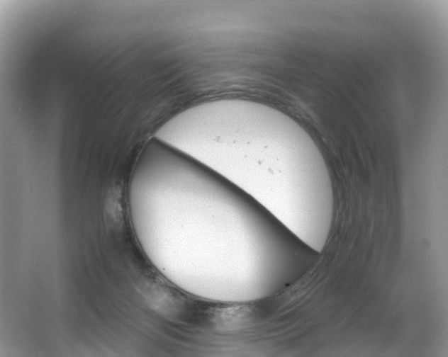 X0000066940122200603240944