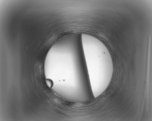 X0000066940123200603240944