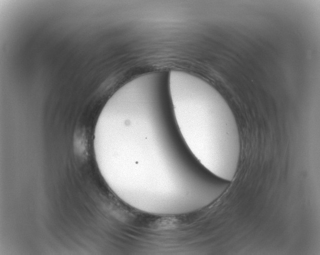 X0000066940124200603240944