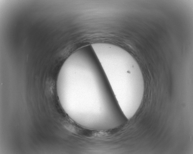 X0000066940125200603240944