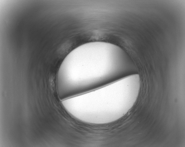 X0000066940127200603240944