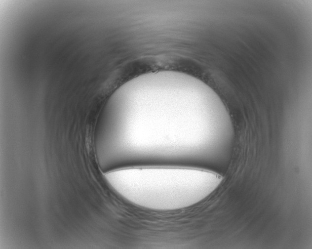 X0000066940129200603240944