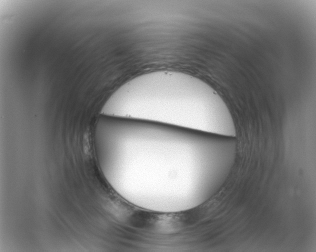 X0000066940130200603240944