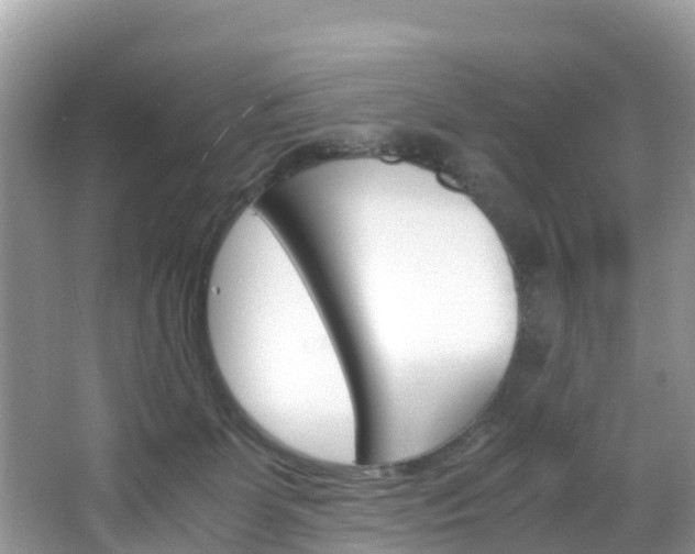 X0000066940131200603240944