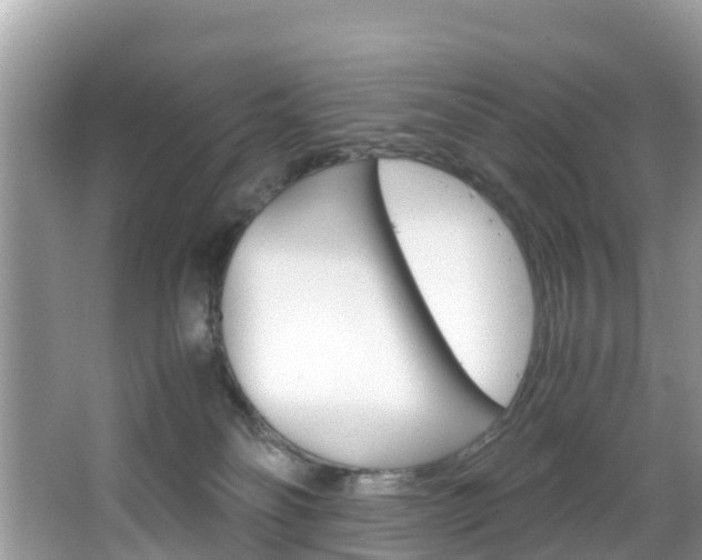 X0000066940134200603240944