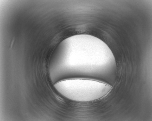 X0000066940136200603240944