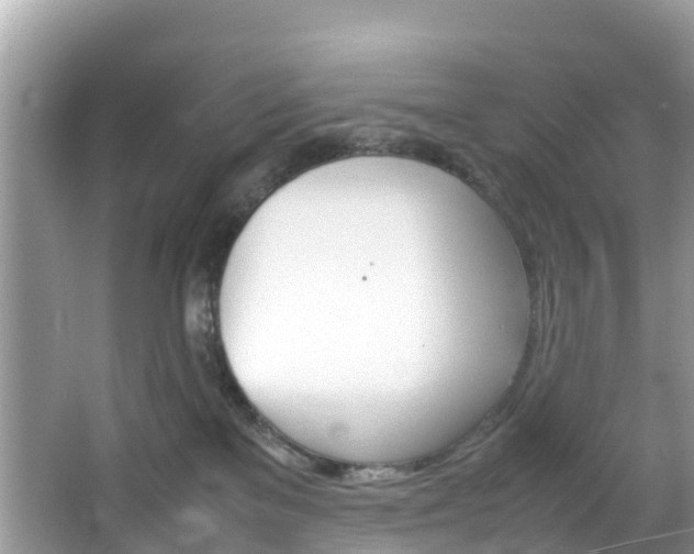 X0000066940137200603240944