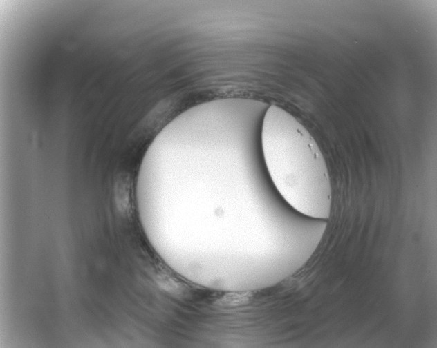 X0000066940138200603240944