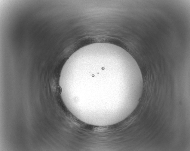 X0000066940139200603240944