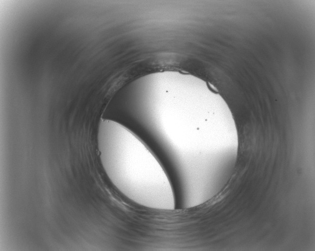 X0000066940140200603240944