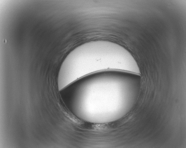 X0000066940141200603240944