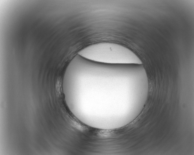 X0000066940142200603240944