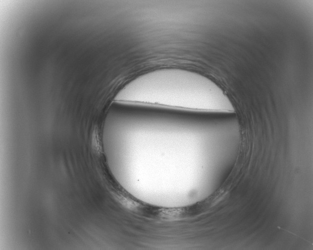 X0000066940143200603240944