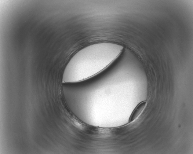 X0000066940144200603240944