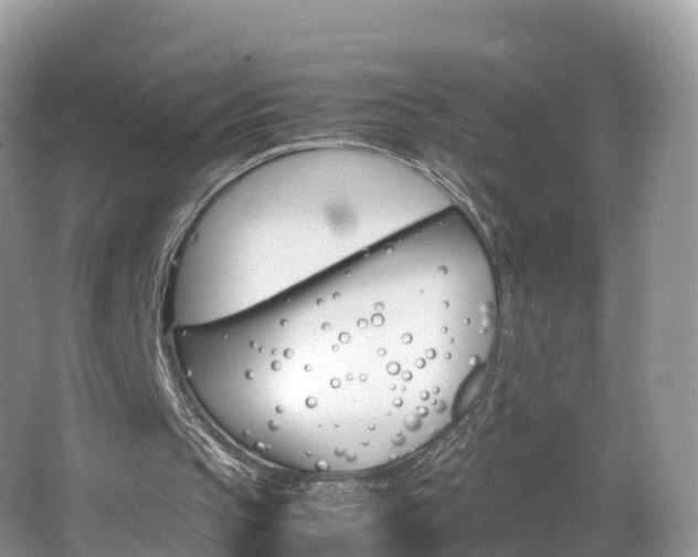 X0000066940145200603240943