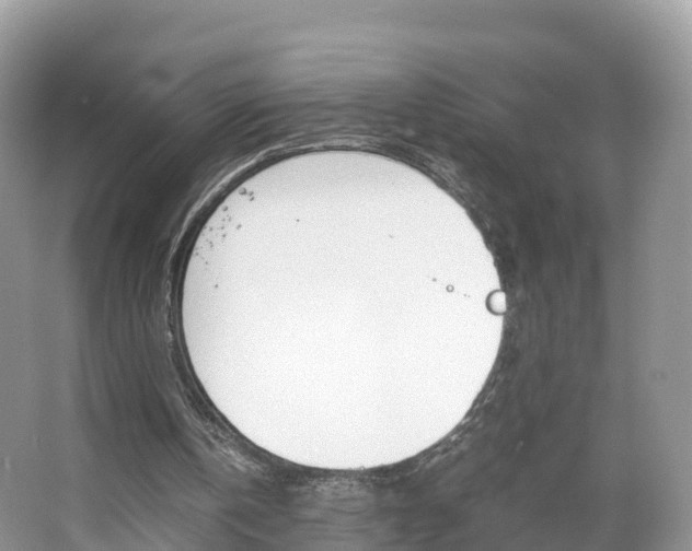 X0000066940146200603240943