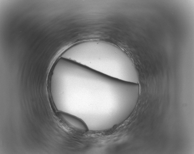 X0000066940147200603240943