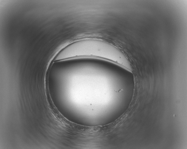 X0000066940148200603240943