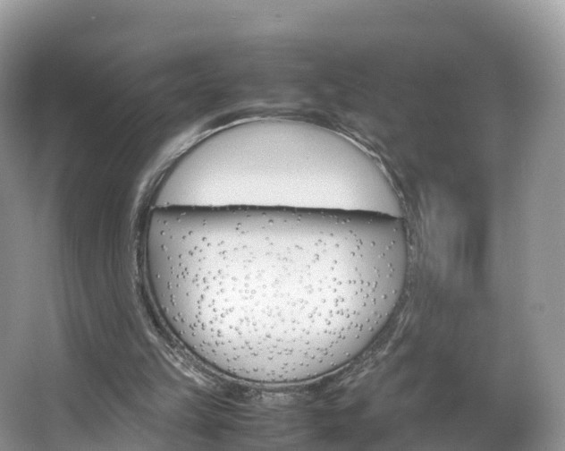 X0000066940149200603240943