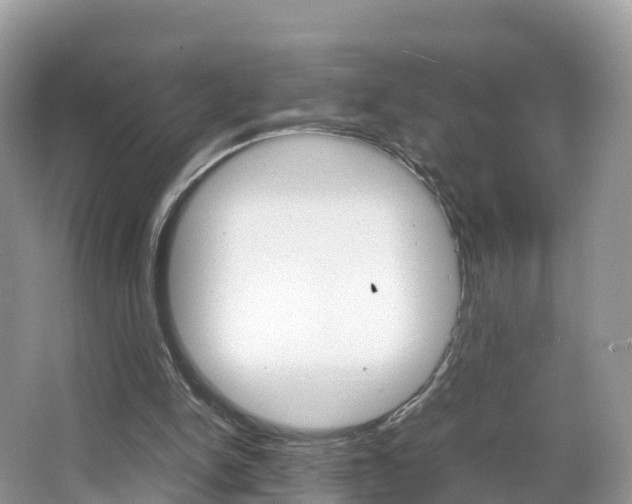 X0000066940150200603240943