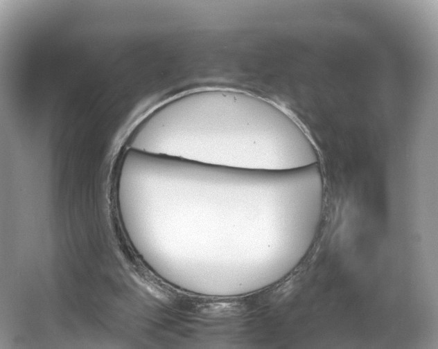 X0000066940151200603240943