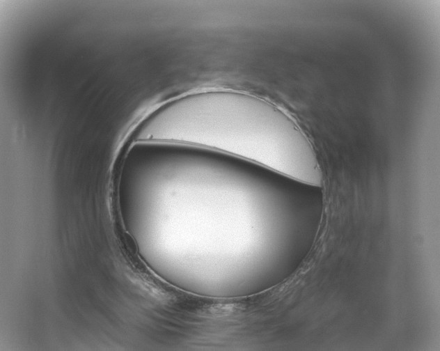 X0000066940152200603240943