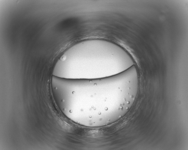 X0000066940153200603240943