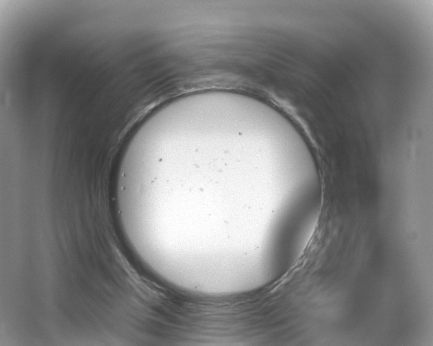 X0000066940154200603240943