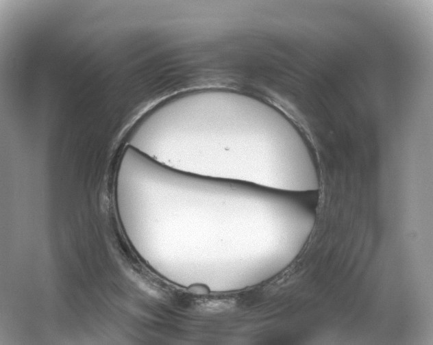 X0000066940155200603240943